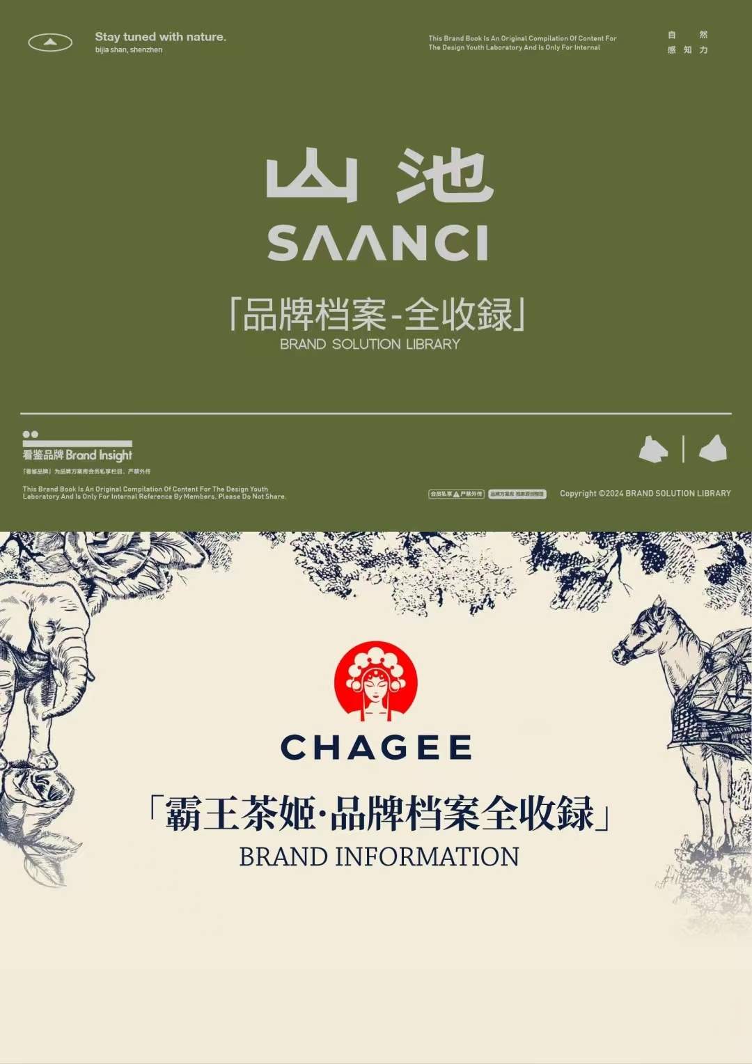 23个热门品牌深度分析资料包｜单品牌150页详细拆解 | 3000页干货